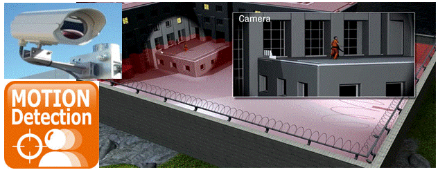 Movement Activated Cameras